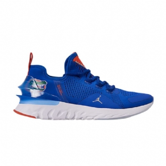 Air Jordan React Havoc Blå Sølv Orange Sko Herre