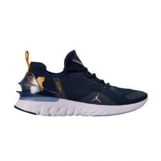 Air Jordan React Havoc Marineblå Sølv Hvid Sko Herre