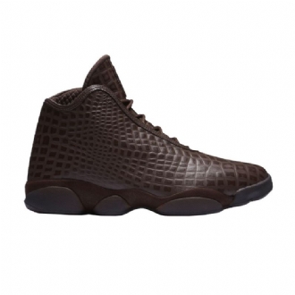 Air Jordan Horizon Premium Brun Sko Herre
