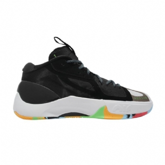 Air Jordan Zoom Separate Pf Sort Flerfarvede Sko Herre