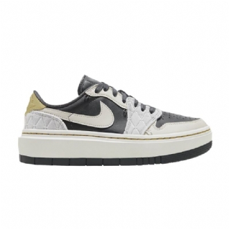 Air Jordan 1 Elevate Low Se Grå Sort Guld Sko Dame