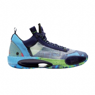 Air Jordan 34 Low Lilla Grøn Blå Grå Sko Herre