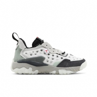 Air Jordan Delta 2 Hvid Grå Sort Sko Herre