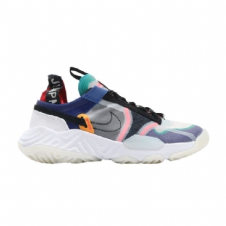 Air Jordan Delta Breathe Flerfarvede Sko Dame