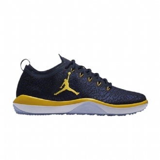 Air Jordan Trainer 1 Low Marineblå Gul Sko Herre