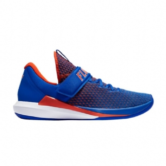 Air Jordan Trainer 3 Blå Hvid Orange Sko Herre