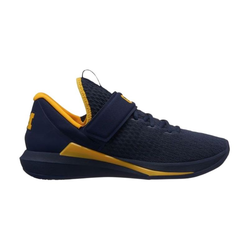 Air Jordan Trainer 3 Marineblå Gul Sko Herre
