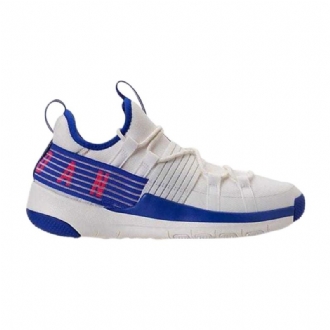 Air Jordan Trainer Pro Hvid Blå Lyserød Sko Herre